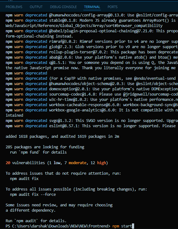 Terminal showing npm start command